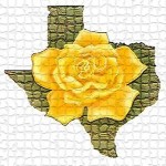 Yellow rose of texas