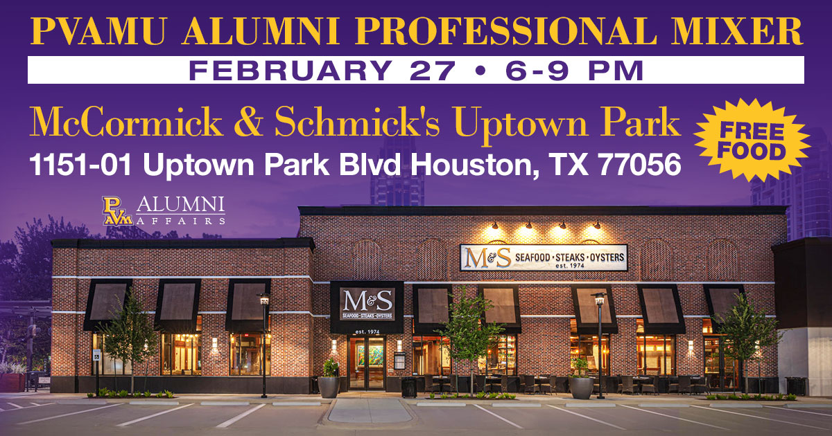 Alumni Mixer Flyer Houston