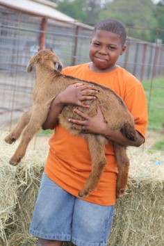 kid holding baby goat