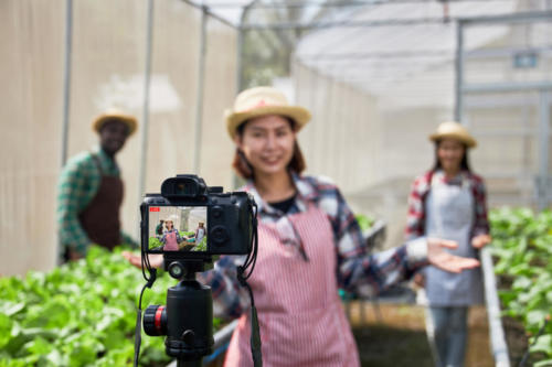 Young Creative Influencer An Online Streaming Farming Demonstrat
