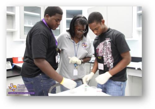 Students in the lab