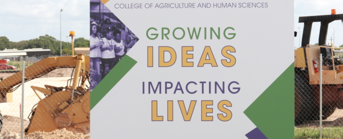 CAHS Growing Ideas, Impacting Lives