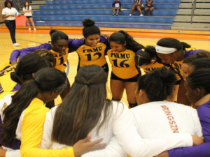 Raymond Holley, Photographer