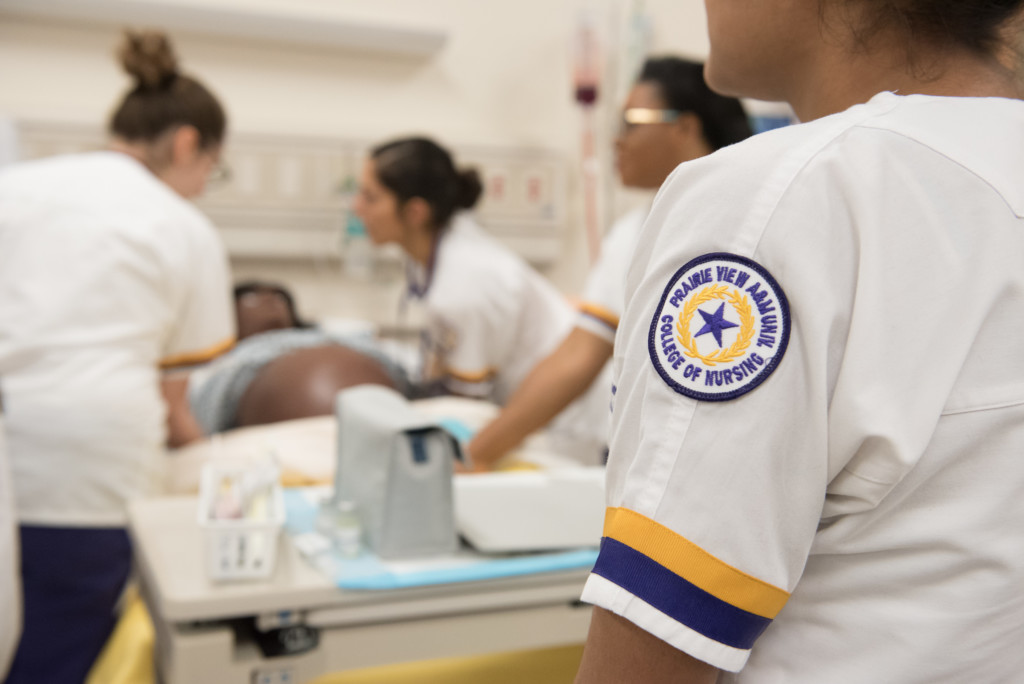 Prairie View A &amp; M University School Of Nursing PVAMU Home
