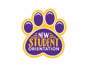 Nso logo