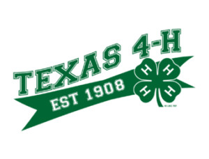 4h
