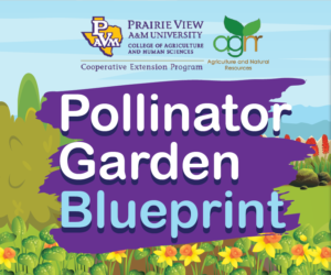 Pollinator Garden Blueprint Preview Image