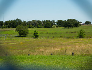 Farm