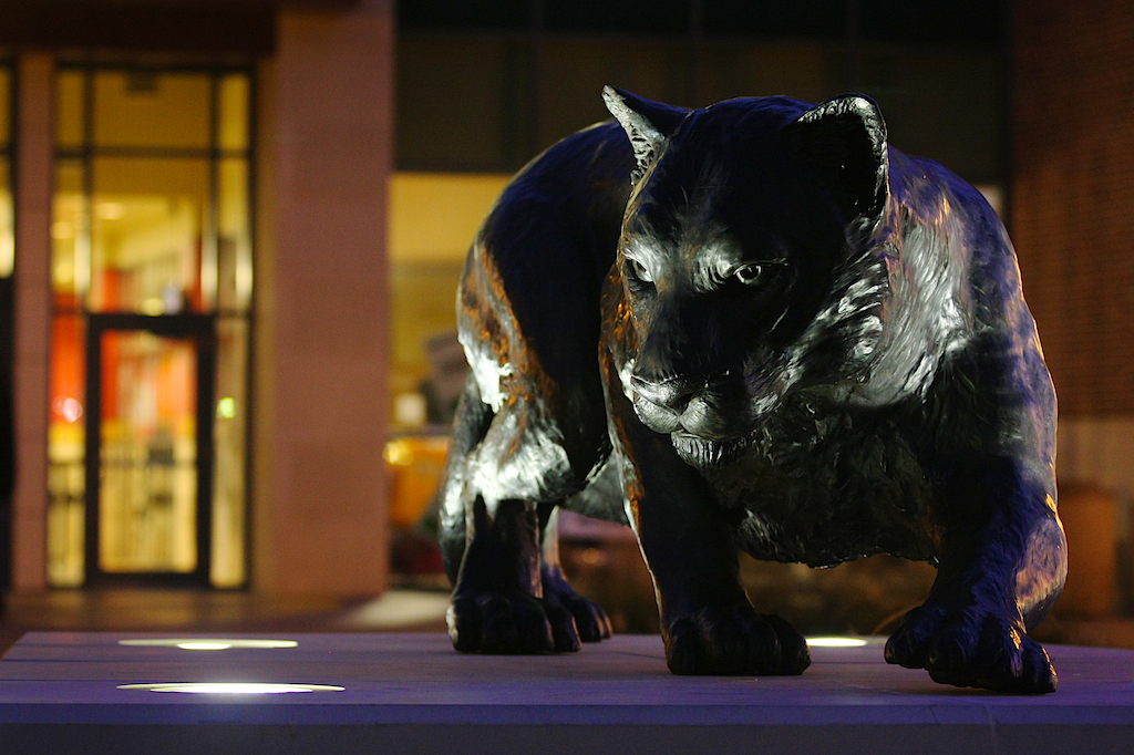 Panther Statue Night