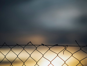 Fence