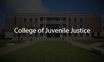 college of juvenile justice