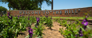 Welcome To The Hill