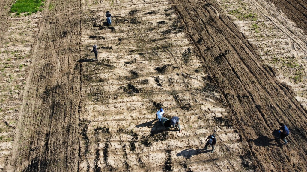 PVAMU farm
