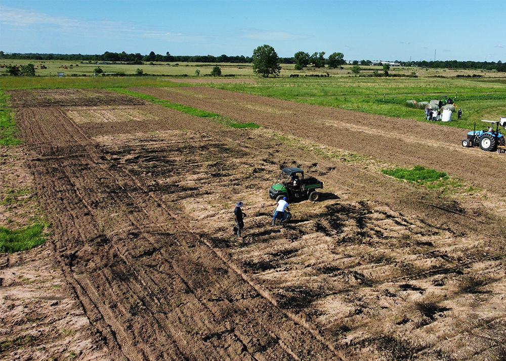 PVAMU farm