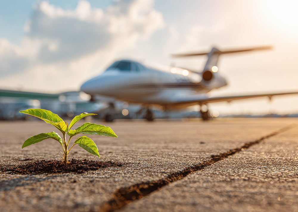 Elegant photo of Small green seedling growing through a crack in an airport runway tarmac with a blurred private jet in the background