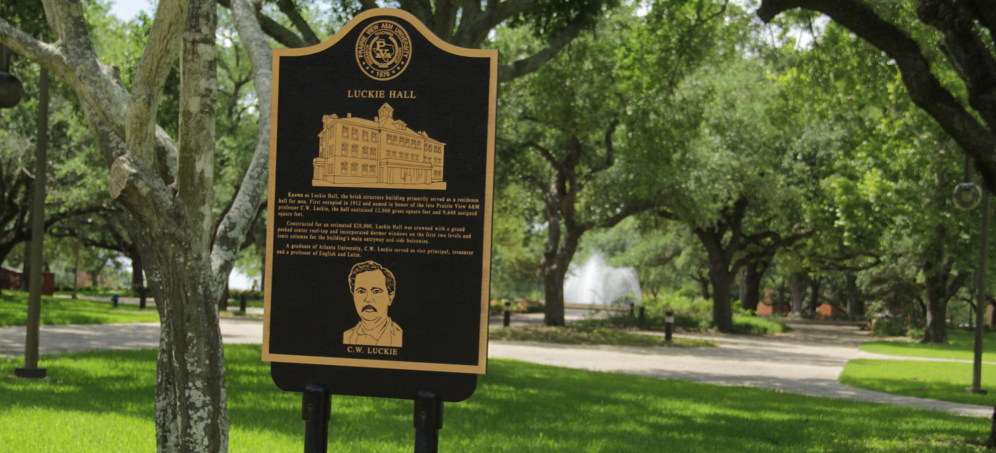 History banner